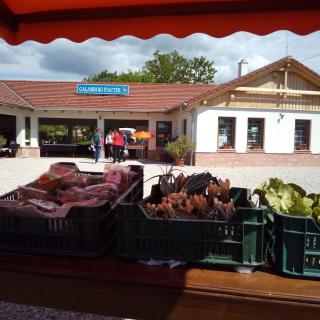 Termelői piac